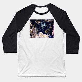 Fish in the Reef Baseball T-Shirt